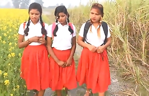 Alfresco indian school girl sex affaire de coeur hindi audio