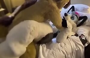 Cute Fursuit lowly moans cutely for pinnacle 2