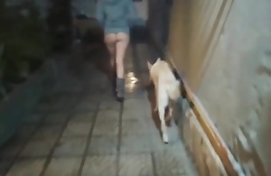Girl Flashing Naked In The Street Fucking In Public Voyeurs And Caught Hard by The Arbiter government